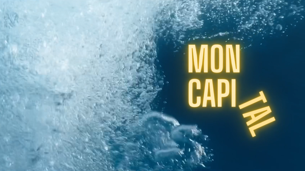 DOCUMENTAIRE X ON SUZANE - Mon Capital